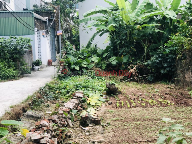 Selling a 48m2 plot of land, group 14 Yen Nghia, behind the cultural house, price 2 billion