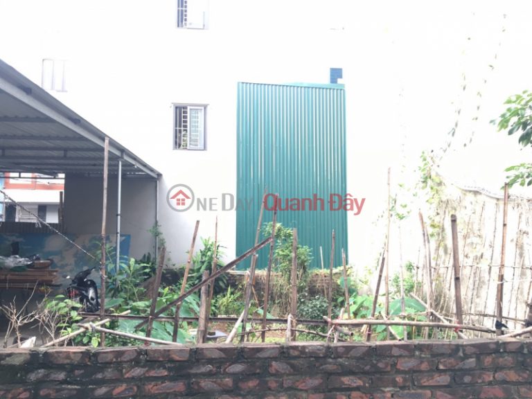 Land for sale in Duong Noi, Ha Dong next to Cam Sat University, 48m2, MT5m, car to the house, price 2.9 billion