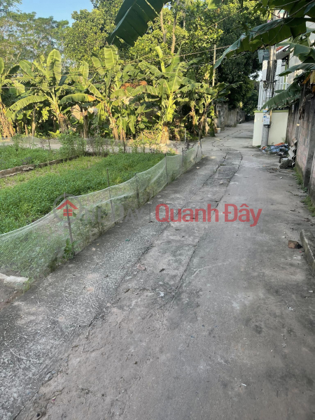 Bán Rẻ 41.3m Đất An Thắng – Hà Đông Ô Tô Vào Giá 1.5 Tỷ