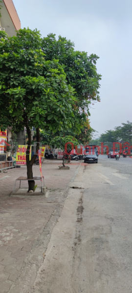 SIÊU PHẨM ĐẤT LÊ TRỌNG TẤN – SÁT CÂY XĂNG DƯƠNG NỘI HÀ ĐÔNG GẦN CHỢ LA CẢ - GẦN AEON HÀ ĐÔNG 35M GIÁ CHỈ