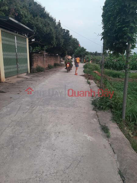 Selling land for a level 4 house in Yen Nghia, Ha Dong