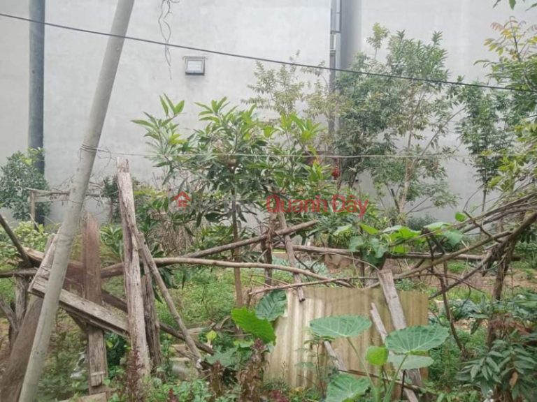 Chính chủ bán đất tổ 5 Yên Nghĩa, 45m2, MT4.8m, lô góc, ô tô, kinh doanh, 2.9 tỷ