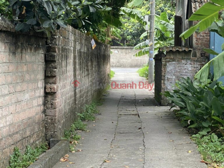 Cc cần bán nhanh đất 33.2m2, chỉ 1.x tỷ, An Thắng, Biên Giang, Hà Đông, HN, ô tô, ngõ thông