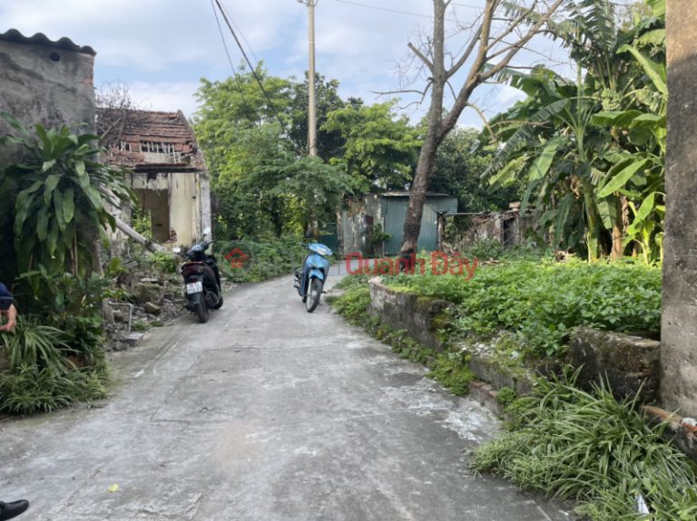 chỉ 1,3x tỷ - hà đông, biên giang , phú mỹ 
Diệnt ích 30,1m ô tô đỗ cừa 
Liên hệ e Thắng:0982963222