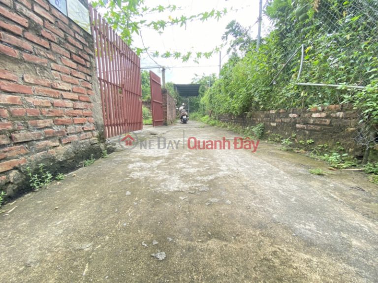 The land inside the Dong Mai dike - the alley in front of the land where cars are parked is just over billion