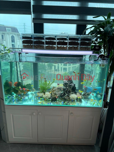 CHÍNH CHỦ BÁN NHÀ TẠI PHƯỜNG VẠN PHÚC, HÀ ĐÔNG, HÀ NỘI. LÔ GÓC, VIEW VƯỜN HOA.