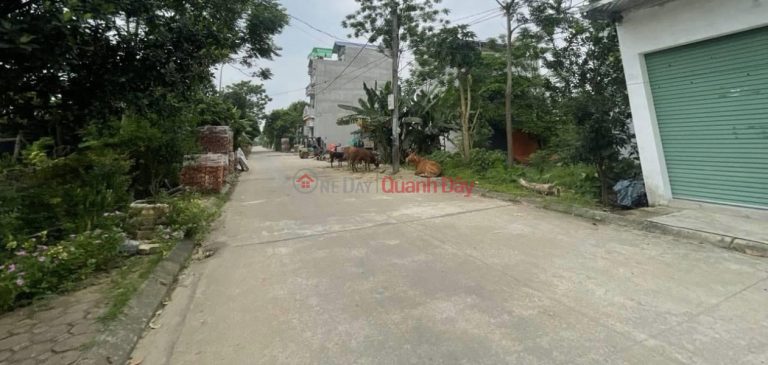 Cc gửi bán lô 51.43m2, 3.x tỷ, ô tô tránh, kinh doanh, An Thắng Biên Giang Hà Đông.