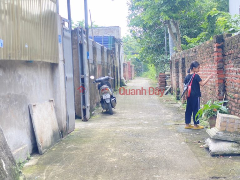 đất trong đê Đồng Mai - ngõ trước đất ô tô đỗ chỉ hơn tỷ