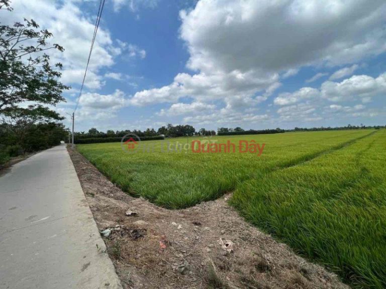 BEAUTIFUL LAND - GOOD PRICE - Land for quick sale Canal Street 05\/19, Ward 6, Soc Trang City, Soc Trang